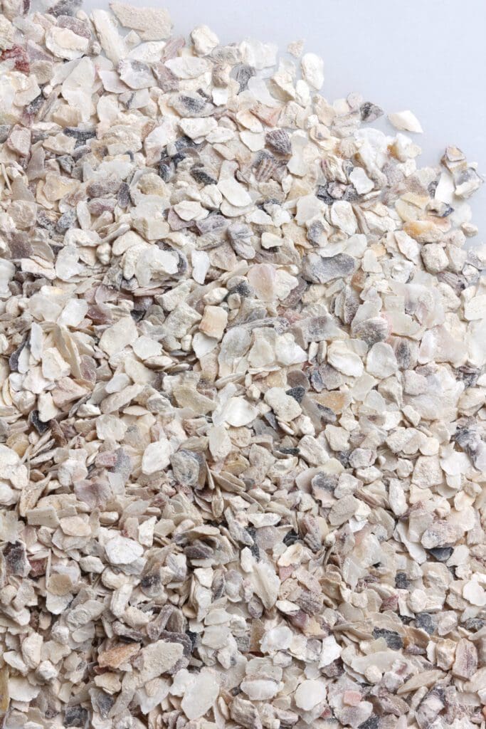 Oxted Shell Oyster Shell Supplier | Crushed Oyster Shell by SHELLSCAPES