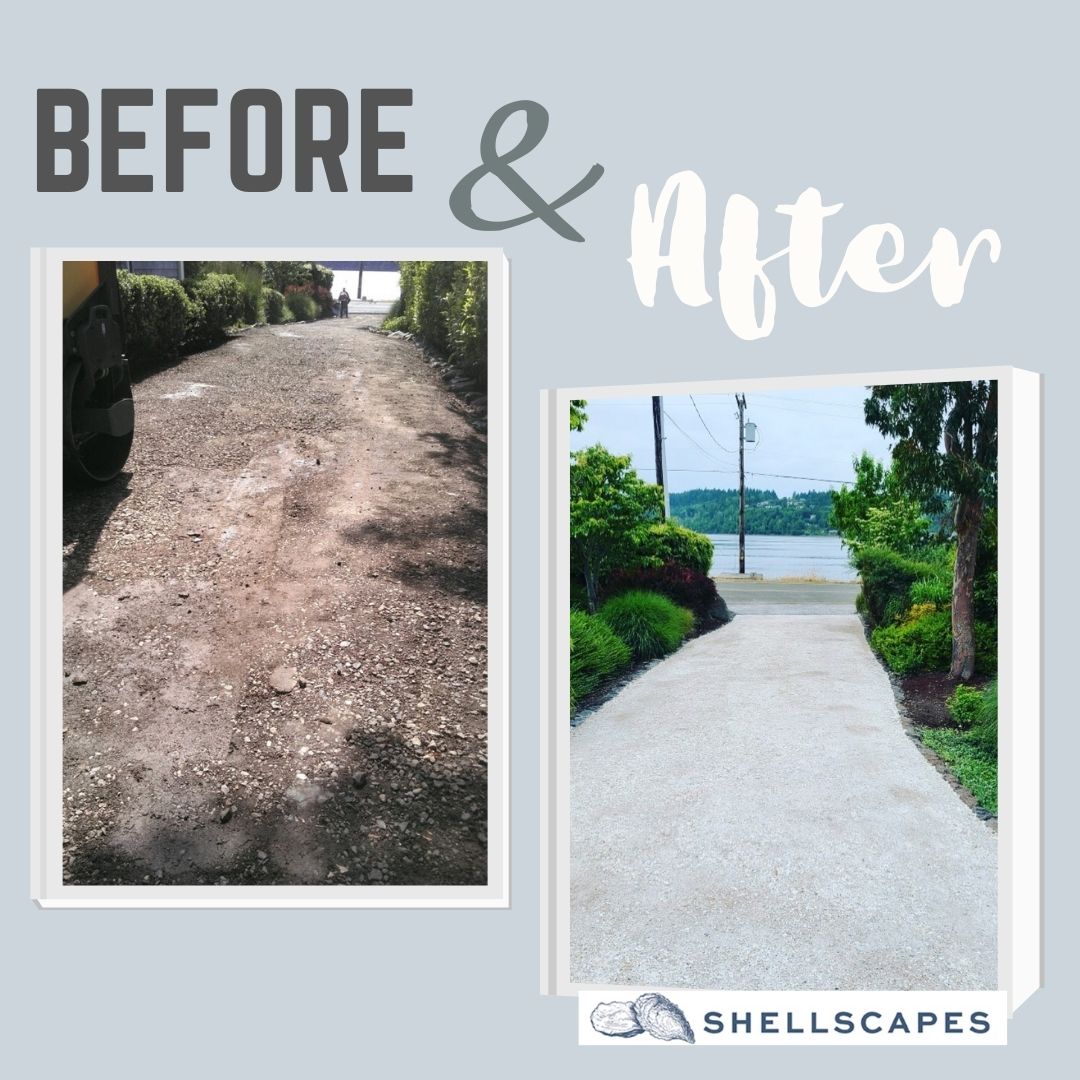 Before and after photos of our landscaping work