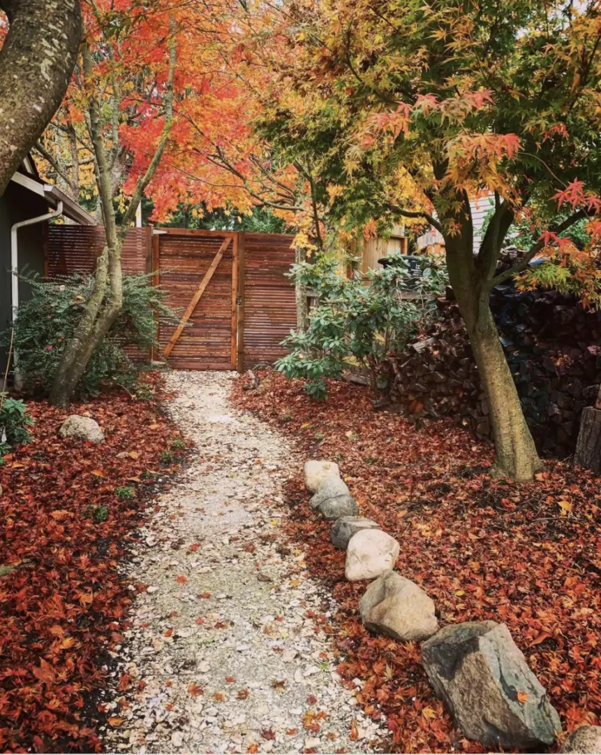 rustic home property in the fall with crushed oyster shell pathway