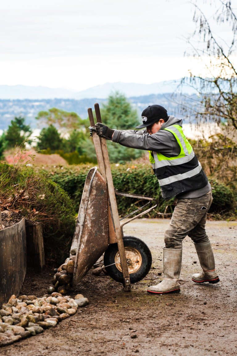 Shellscapes2022 11 1