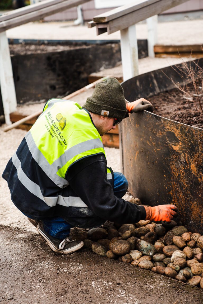 Shellscapes2022 14 1